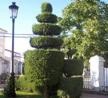 Imagen Jardines